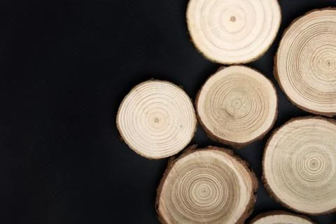 Pine tree cross-sections with annual rings on black background. Lumber piece Stock Photos