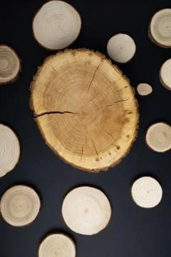 Pine tree cross-sections with annual rings on black background. Lumber piece Foto stock