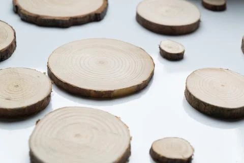Pine tree cross-sections with annual rings on plane white surface. Lumber piece Stock Photos