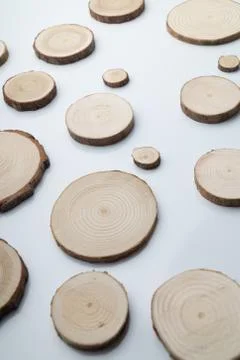 Pine tree cross-sections with annual rings on plane white surface. Lumber piece Stock Photos