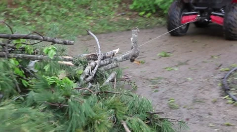 Pine Tree Debris and Branches Pulled by 4 Wheeler with rope on driveway 動画素材 45364066