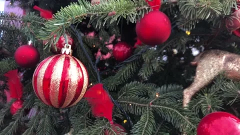 Pine tree decorated with Christmas ornaments at garden or park for new year Stock Footage 166952142