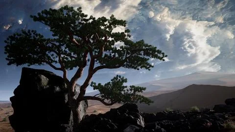 Pine Tree Desert Stock Illustration