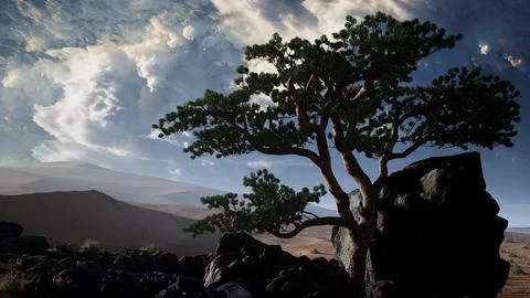 Pine Tree Desert Stock Illustration