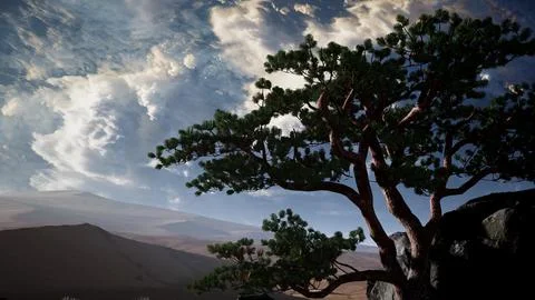 Pine Tree Desert Stock Illustration