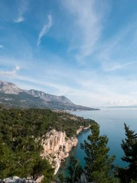 Pine tree forest and calm blue sea landscape 库存照片