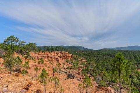 Pine tree forest and sand canyon long exposure Stock Photos