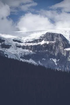 Pine tree forest below a large mountain Stock Photos