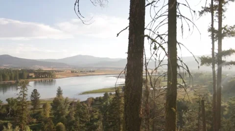 Pine tree forest dolly with river and valley at sunrise Vidéo 8575735