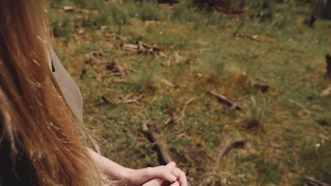 Pine Tree Forest Stock Footage 90995368