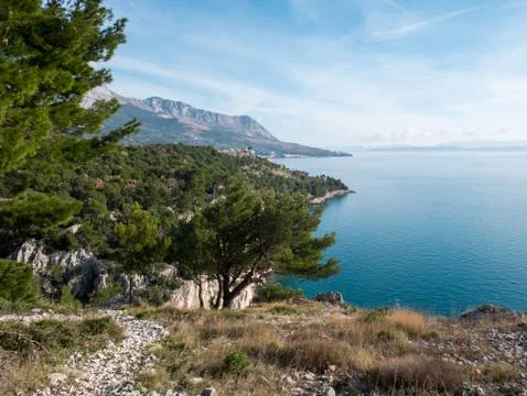 Pine tree forest over calm blue Adriatic sea Stock-Fotos