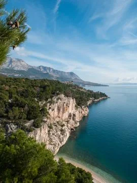 Pine tree forest over hidden beach and calm blue sea 库存照片