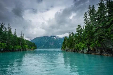 Pine tree forest over an island near Columbia glacier Foto stock