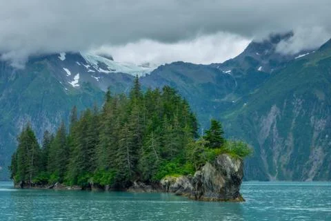 Pine tree forest over an island near Columbia glacier Stock Photos