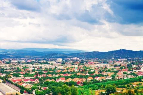 Pine tree forest Stock-Fotos