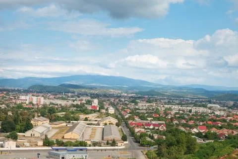 Pine tree forest Stock-Fotos