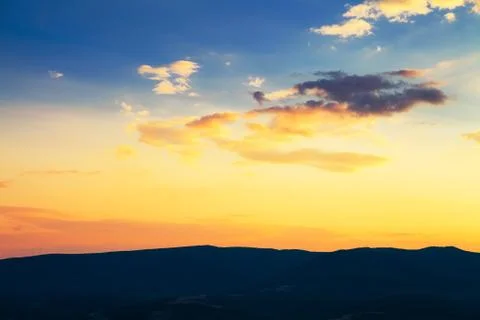Pine tree forest Stock Photos