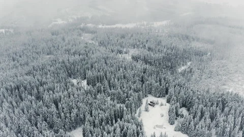 Pine Tree Forest Seen From Above During Winter and Fog Rolling Above Video stock 133265602