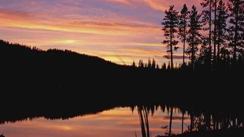 Pine tree forest silhouette and lake reflections at dusk sunset Anthony Lake in Stock-Footage 81844951