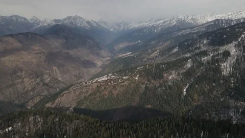Pine tree forest on snow ice covered mountain. aerial drone shot view of natu Stock Footage 157755639