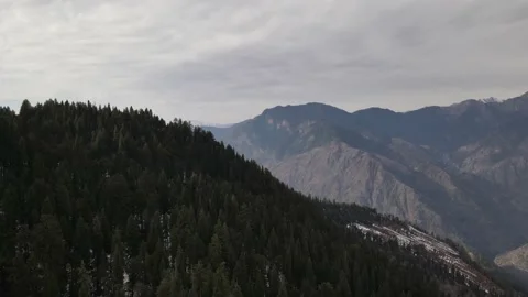 Pine tree forest on snow ice covered mountain. aerial drone shot view Stock Footage 157755787
