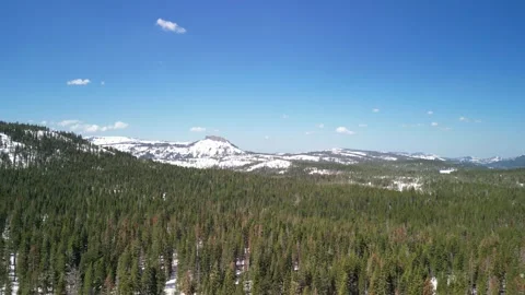 Pine Tree Forest, Snow, Mountains, Soda Springs, Aerial Footage Stock Footage 273753853