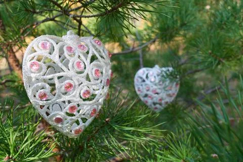On a pine tree in the forest, there are Christmas tree decoration Stock Photos