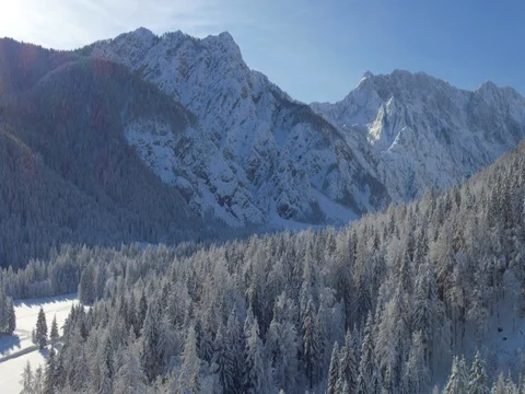 Pine Tree Forest Valley And Mountains Covered In Snow Stock Footage 70988136