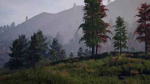 Pine Tree Forrest in the Montains Illustrazione stock