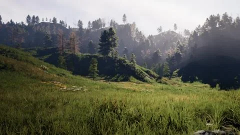 Pine Tree Forrest in the Montains Illustrazione stock