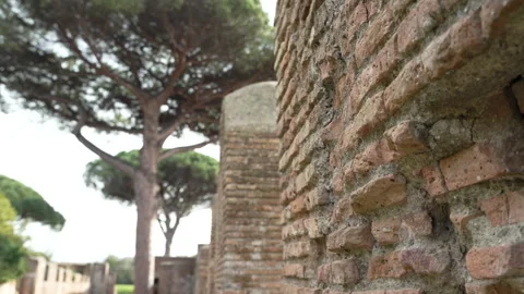 Pine Tree Framed Against Old Roman Brick Wall at Ostia Anitca Stock Footage 345736240