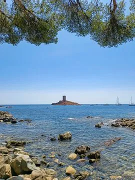 Pine tree framing le d'Or tower view at Cap Dramont France Stock Photos