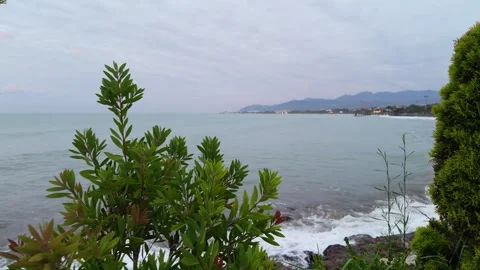 Pine Tree Framing Stormy Sea and Distant Coastal City Lights Stock Footage 346643688