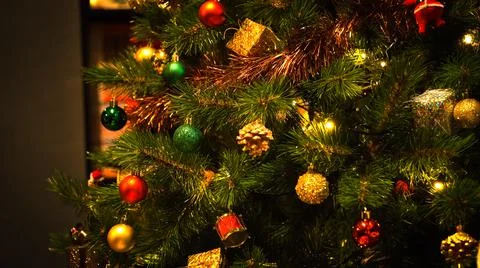 Pine tree get decorating for christmas tree traditional. Xmas traditional tree Stock Photos