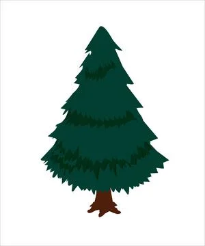 Pine tree with green leaves Stock Illustration
