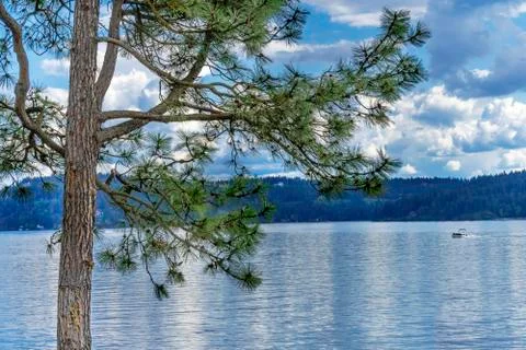 Pine Tree House Boat Reflection Lake Coeur d' Alene Idaho Foto stock