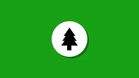 A pine tree icon animation on a white circle with a shadow, appearing and d.. Stock Footage 327762591