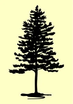 Pine tree icon silhouette Stock Illustration