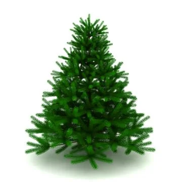 Pine tree Stock Illustration