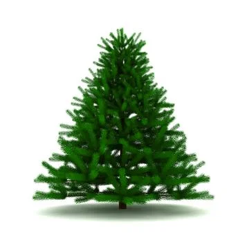 Pine tree Stock Illustration