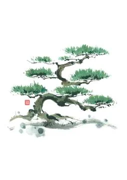 Pine tree Stock Illustration