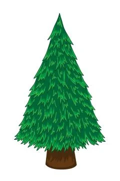 Pine tree Stock Illustration