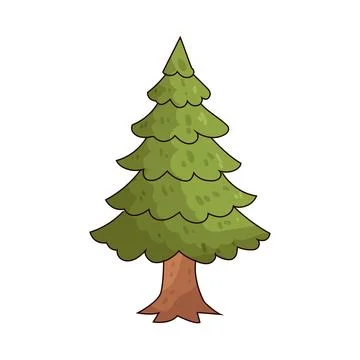 Pine Tree illustration Stock Illustration