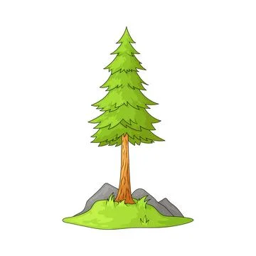 Pine Tree illustration Stock Illustration