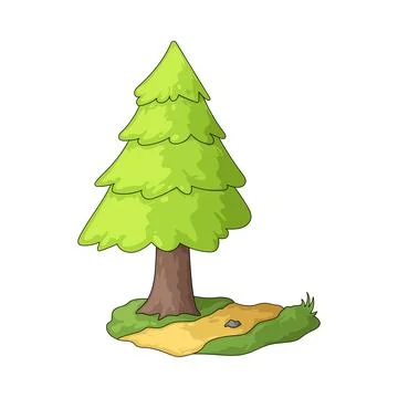 Pine Tree illustration Stock Illustration
