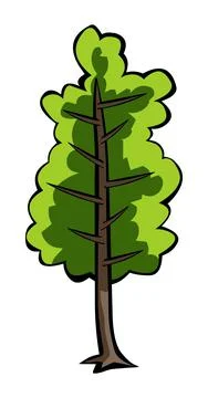 Pine tree illustration vector Stock Illustration