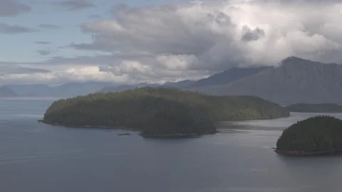 Pine tree island in middle of lake with mountains in distance Alaska drone Stock Footage 255318167