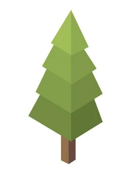 Pine tree isometric Stock Illustration
