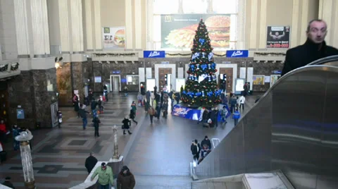 Pine-tree, Kiev Central Railway Station in Kiev, Ukraine. Stock Footage 34797889