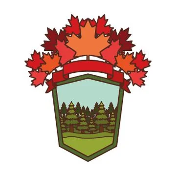 Pine tree label and canada symbol design Stock Illustration